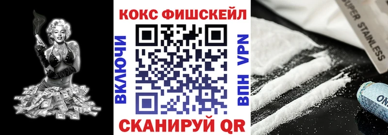 Cocaine FishScale  купить закладку  Боровск 