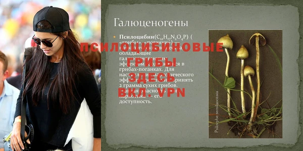 прущие крисы Пересвет